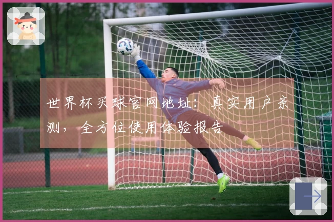 世界杯买球官网地址：真实用户亲测，全方位使用体验报告