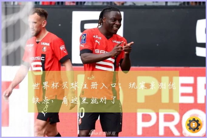 世界杯买球注册入口：玩家亲测优缺点，看这里就对了