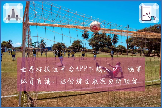 世界杯投注平台APP下载入口：畅享体育直播，这份综合表现分析助你轻松上手