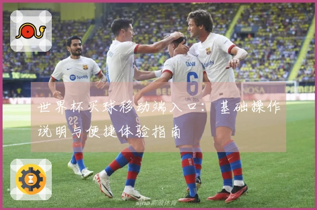 世界杯买球移动端入口：基础操作说明与便捷体验指南